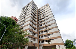 The Cairnhill (D9), Condominium #580010561